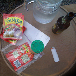 quick Chicken Adobo ingredients