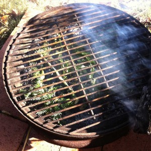 Smoking with green kiawe