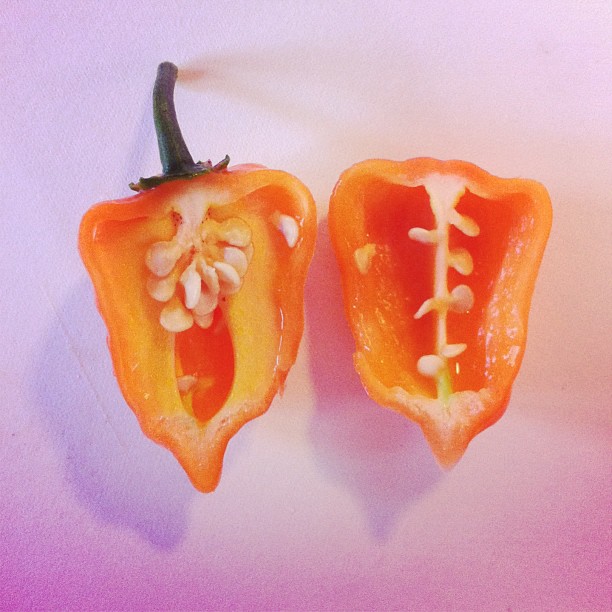 Adoboloco Farms Habanero Cut in Half